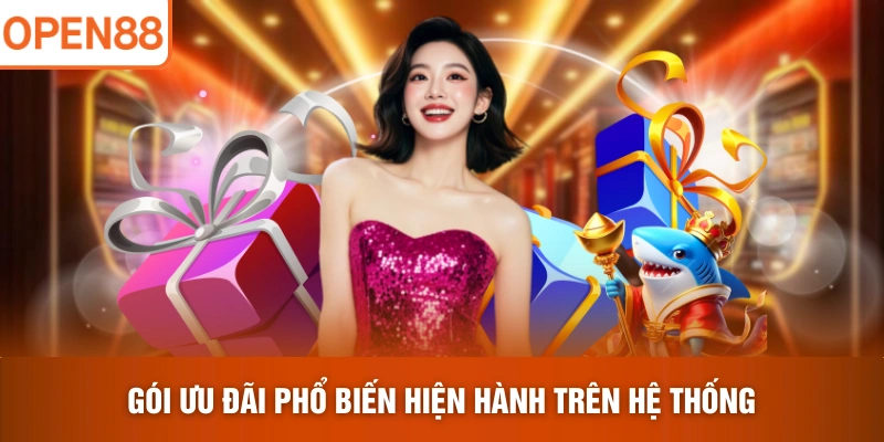 Gói ưu đãi phổ biến hiện hành trên hệ thống